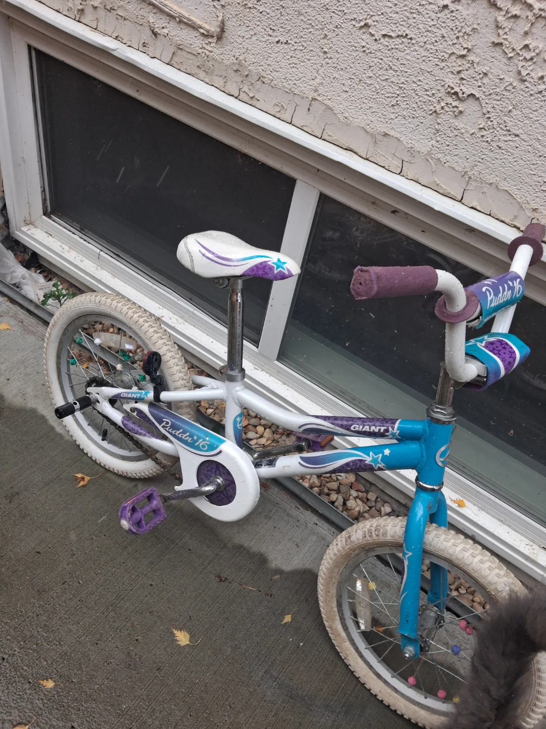 Giant Puddin 16 Kids Bike - photo 3