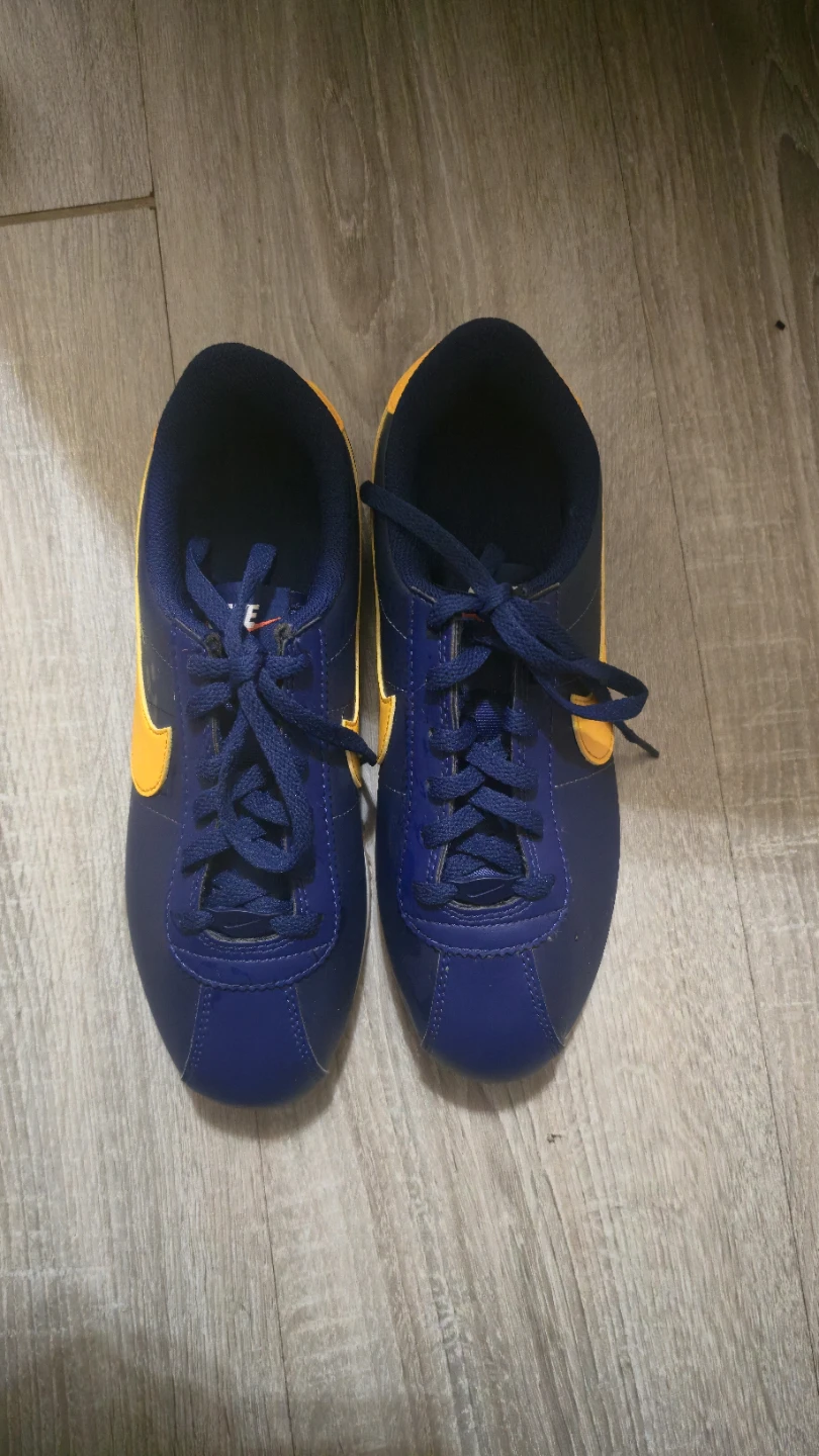 Nike Cortez Sneakers Blue and Yellow