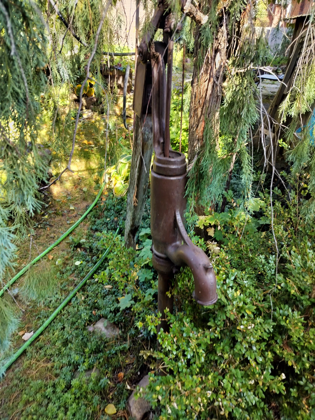 Vintage Cast Iron Hand Water Pump - photo 2