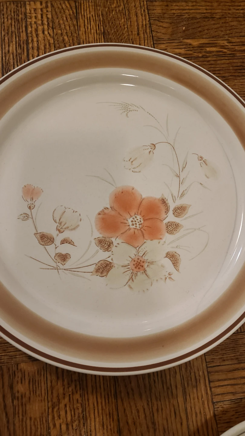 Collection of 8 Vintage Stoneware Plates - photo 5