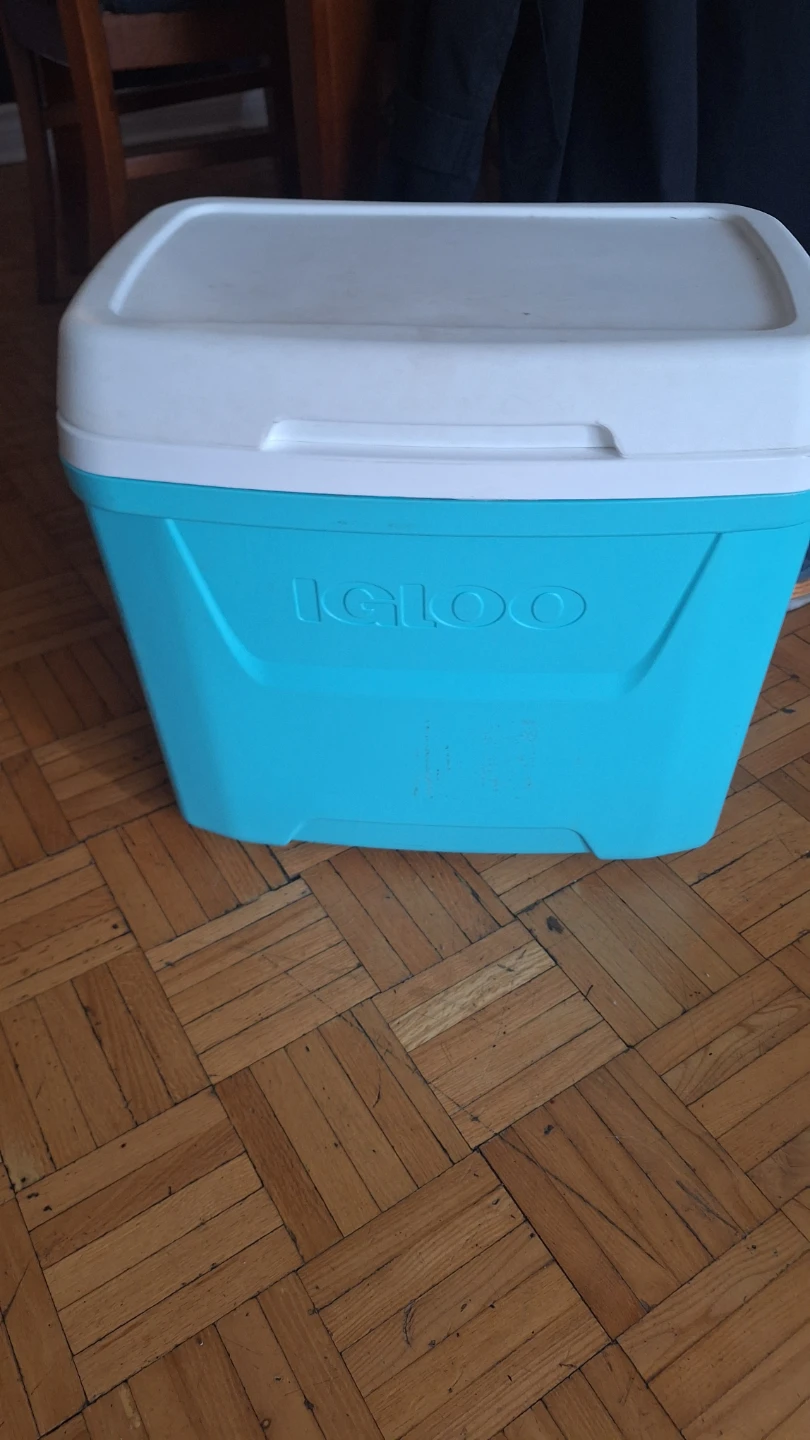 Igloo Cooler Blue and White