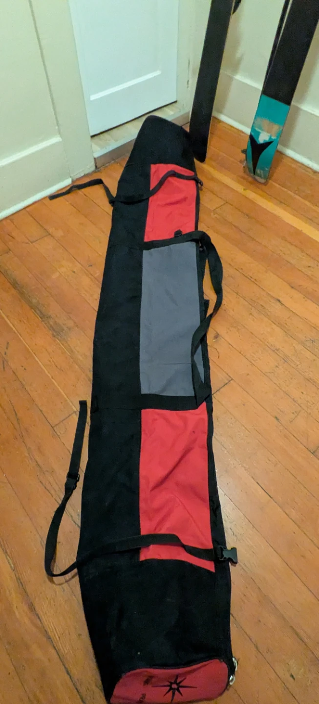 Dragon Prance Ski Bag