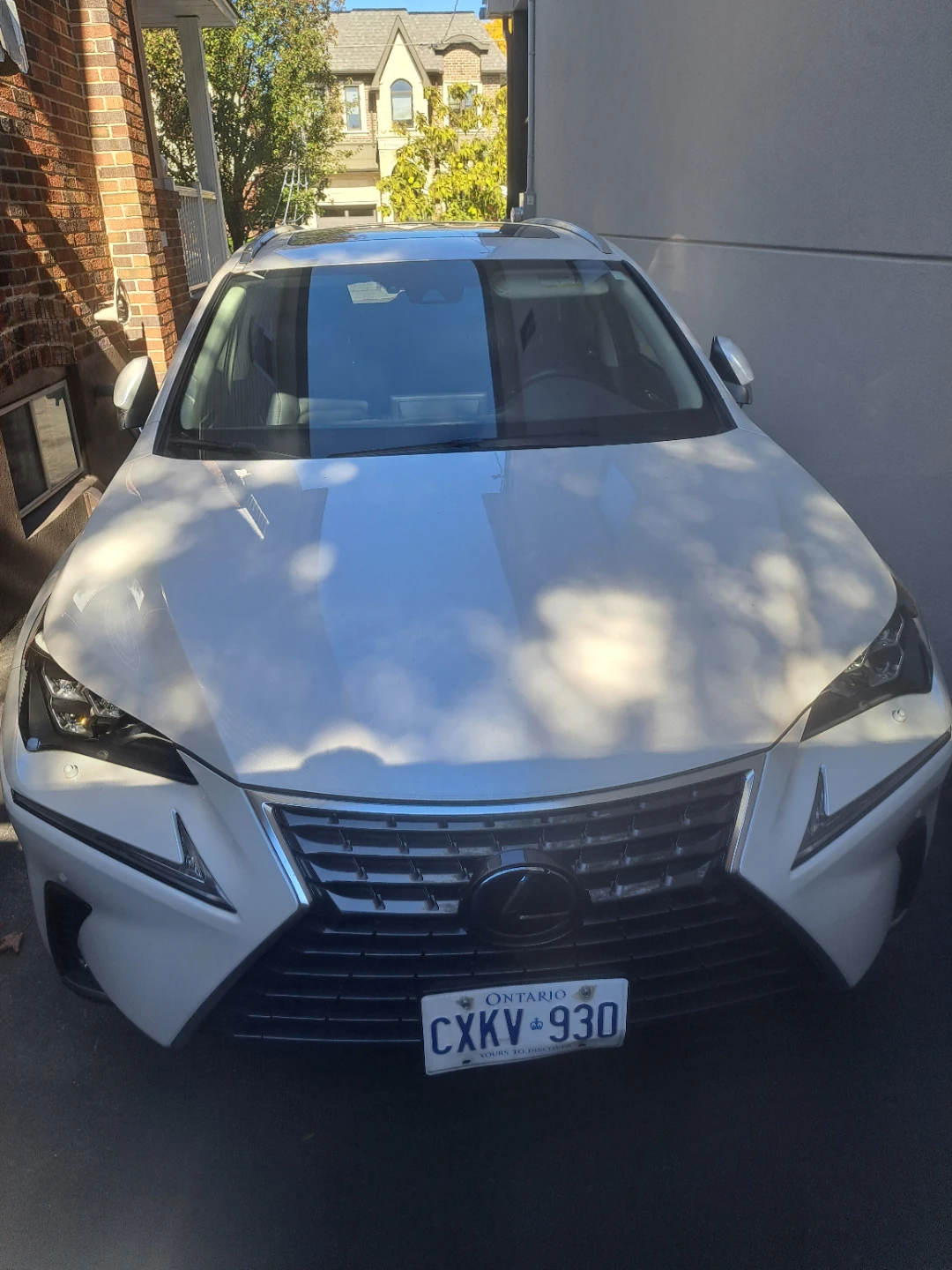 Lexus NX SUV - photo 5