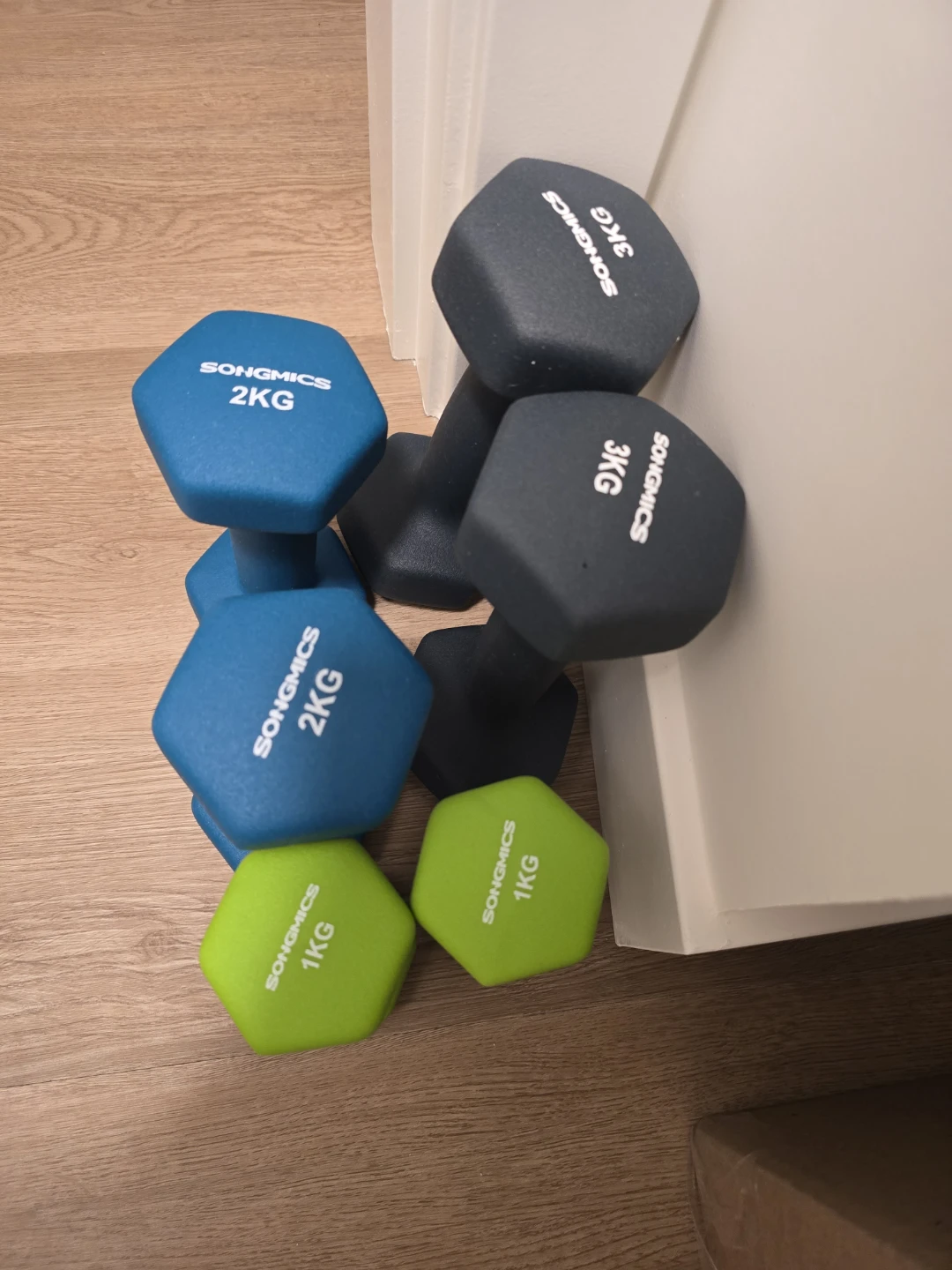 SONGMICS Neoprene Dumbbell Set 1kg, 2kg, 3kg - photo 2