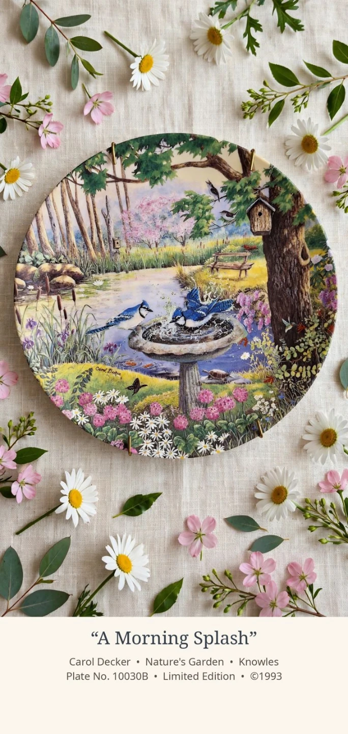 Knowles A Morning Splash Collector Plate