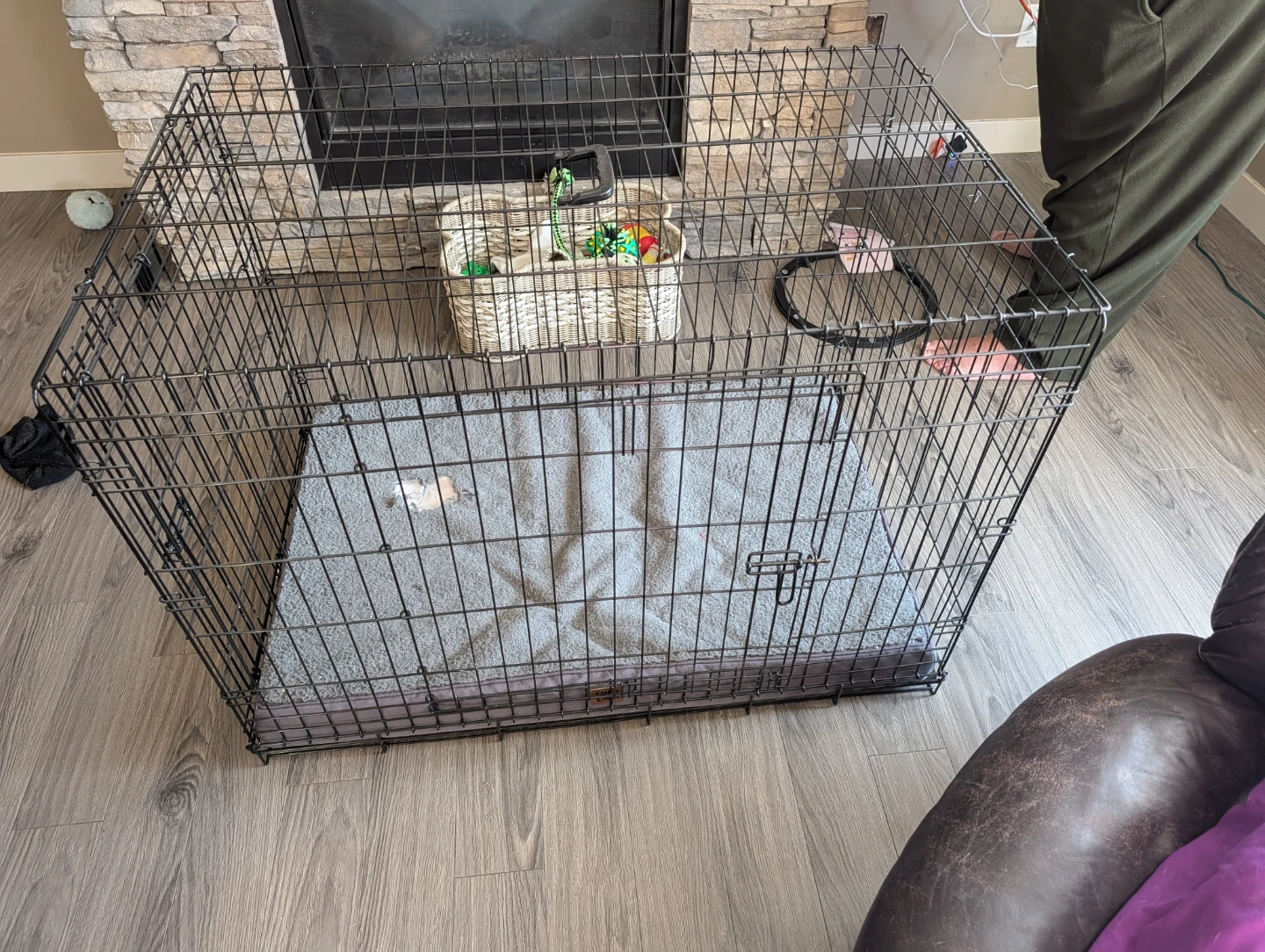 Precision Pet Products Dog Crate