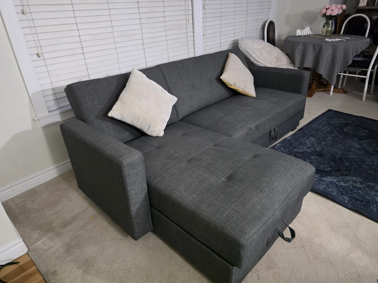 Carter 2-Piece Sleeper Sectional Sofa – For Sale