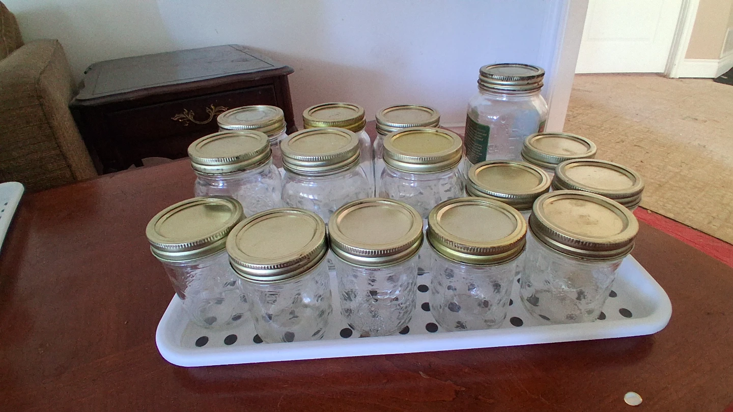 Set of 24 Bernardin Mason Jars
