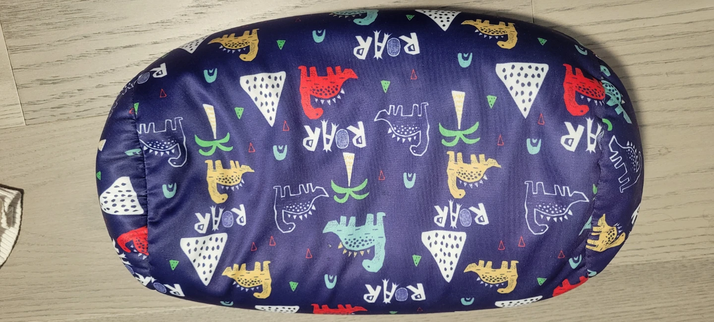 Dinosaur Pattern Kids Cushion