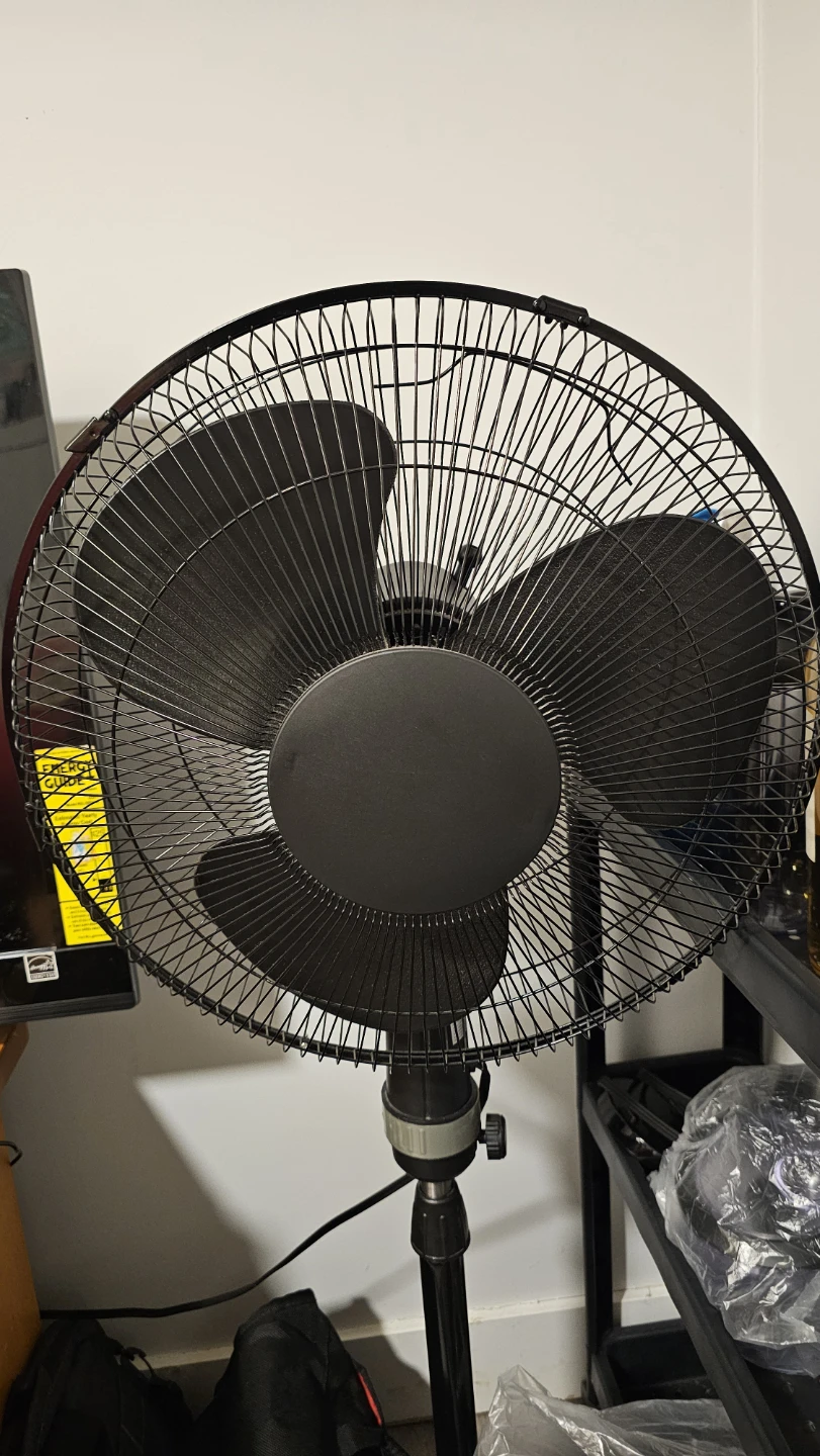 **Move out Sale **Black Pedestal Standing Fan