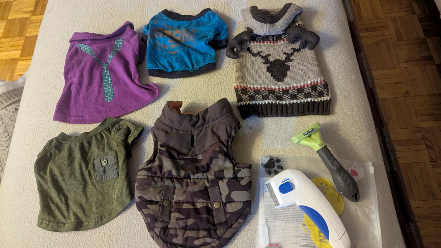 Assorted xSmall Dog Clothing and Grooming Set