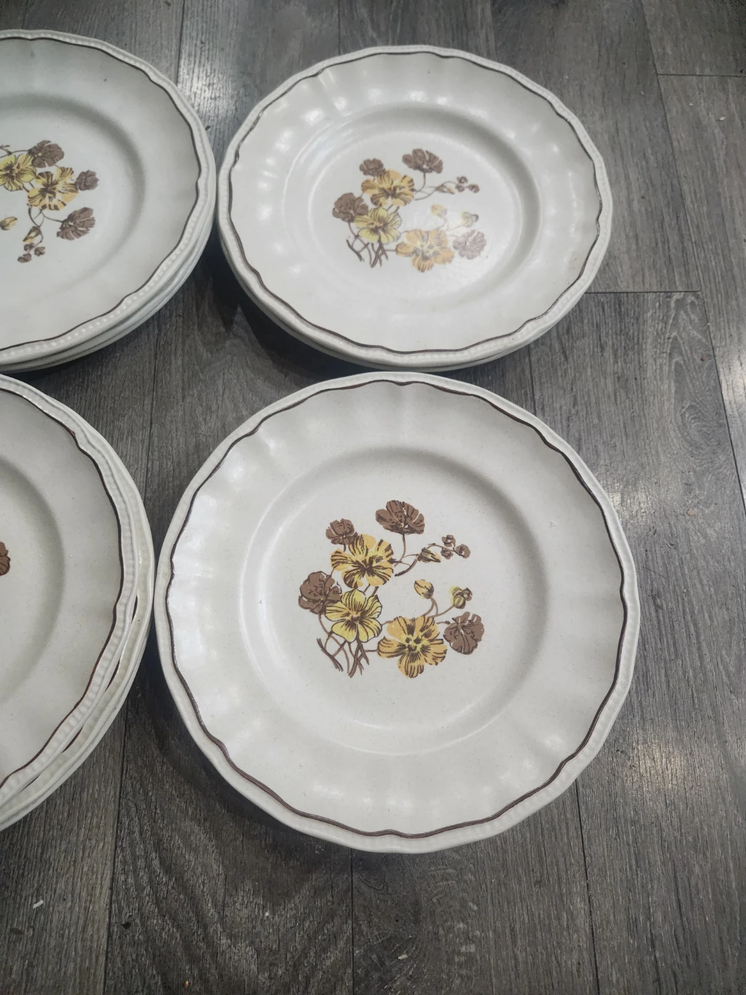 Set of 10  Kensington Ironstone Plates - photo 4