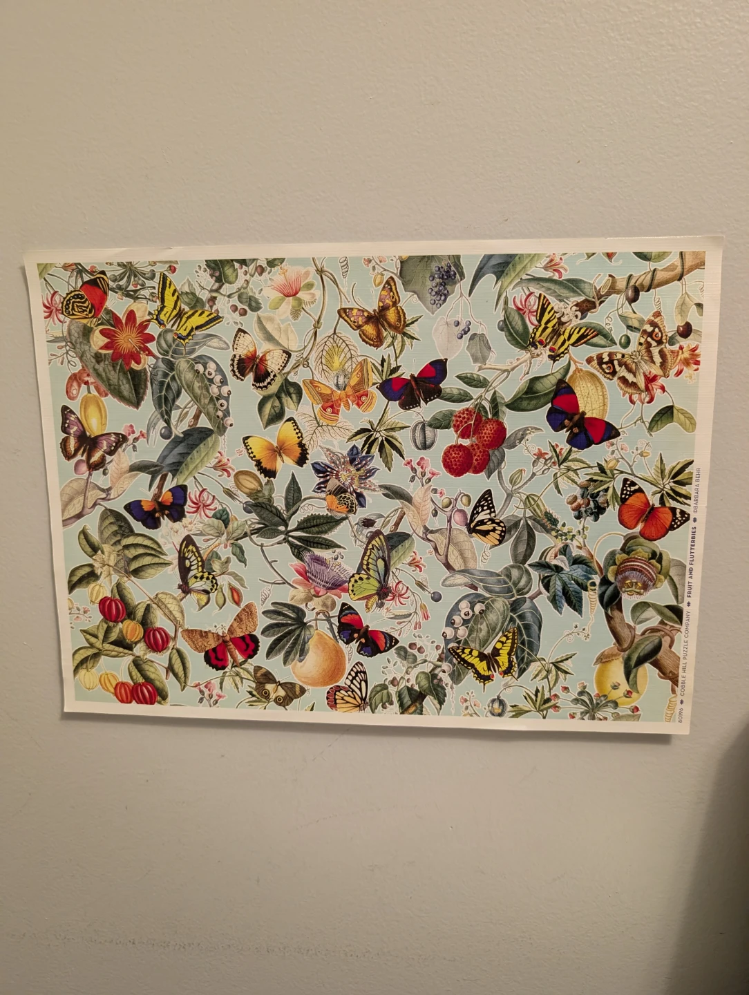 Fruit and Flutterbies 1000 Piece Jigsaw Puzzle 🧩 - photo 3