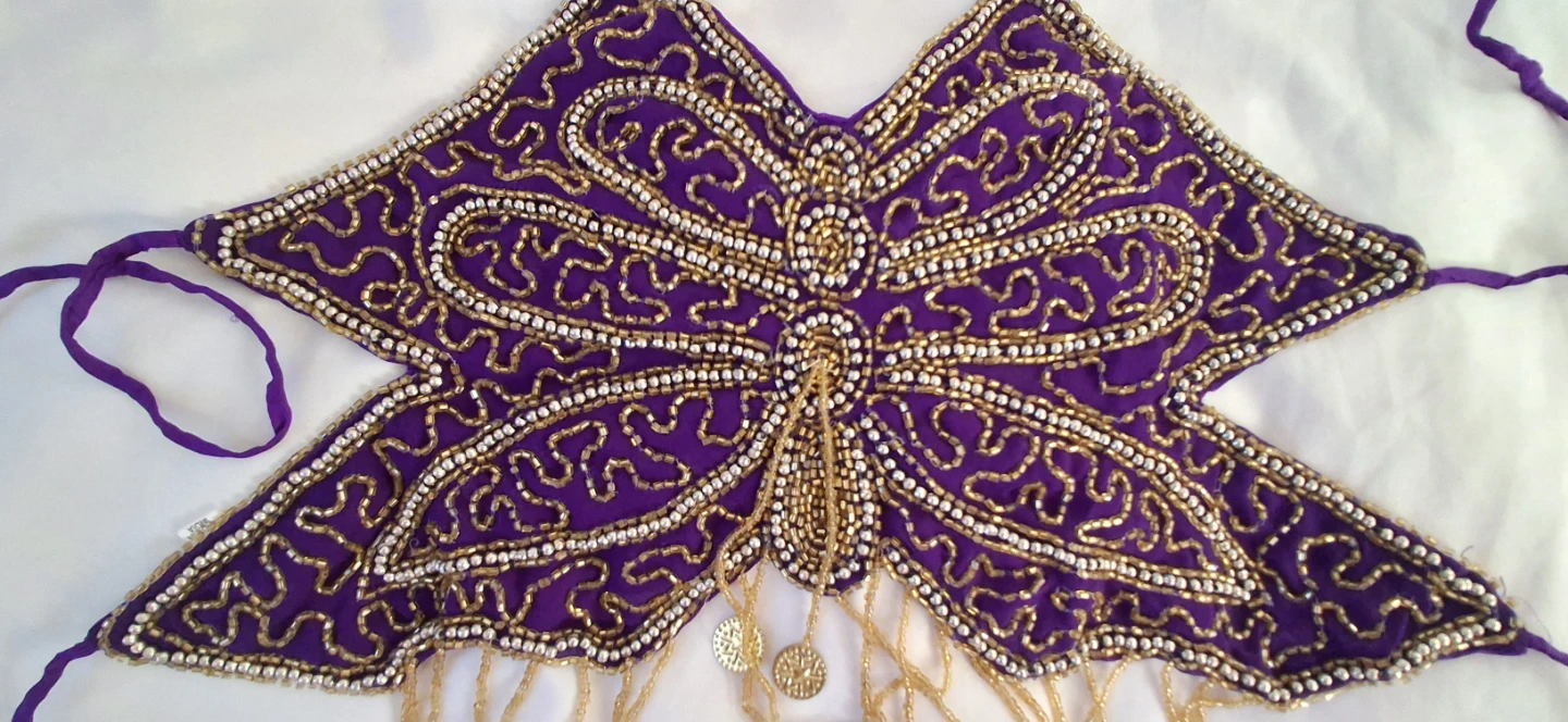 Purple Beaded Belly Dance Top and Hip Scarf Set - photo 3
