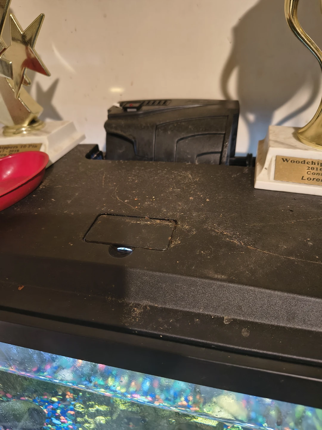 Aqueon 10 Gallon LED Aquarium Kit - photo 2