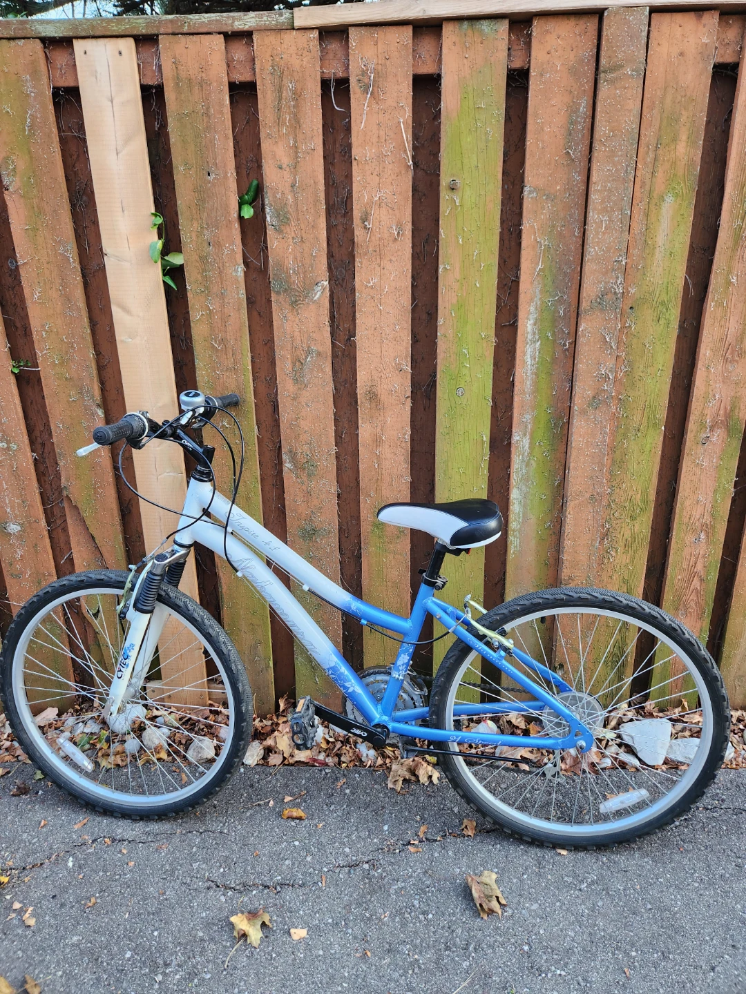 Nakamura Inspire 4.1  womens Bicycle