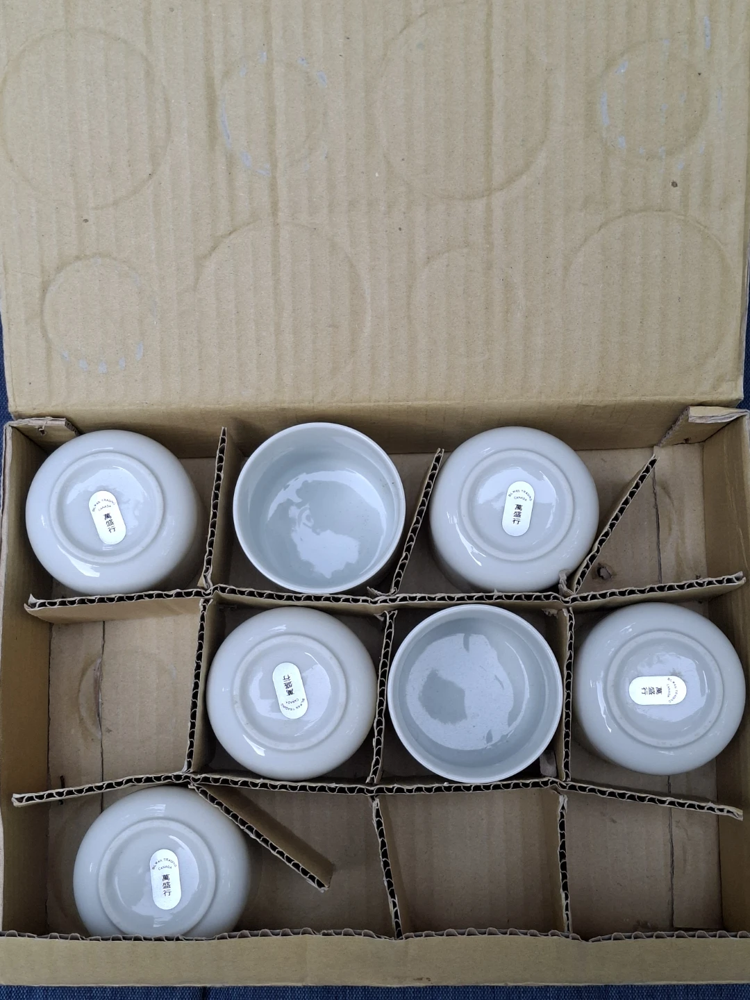 Bilwan Trading Tea Cups - 7 Pieces