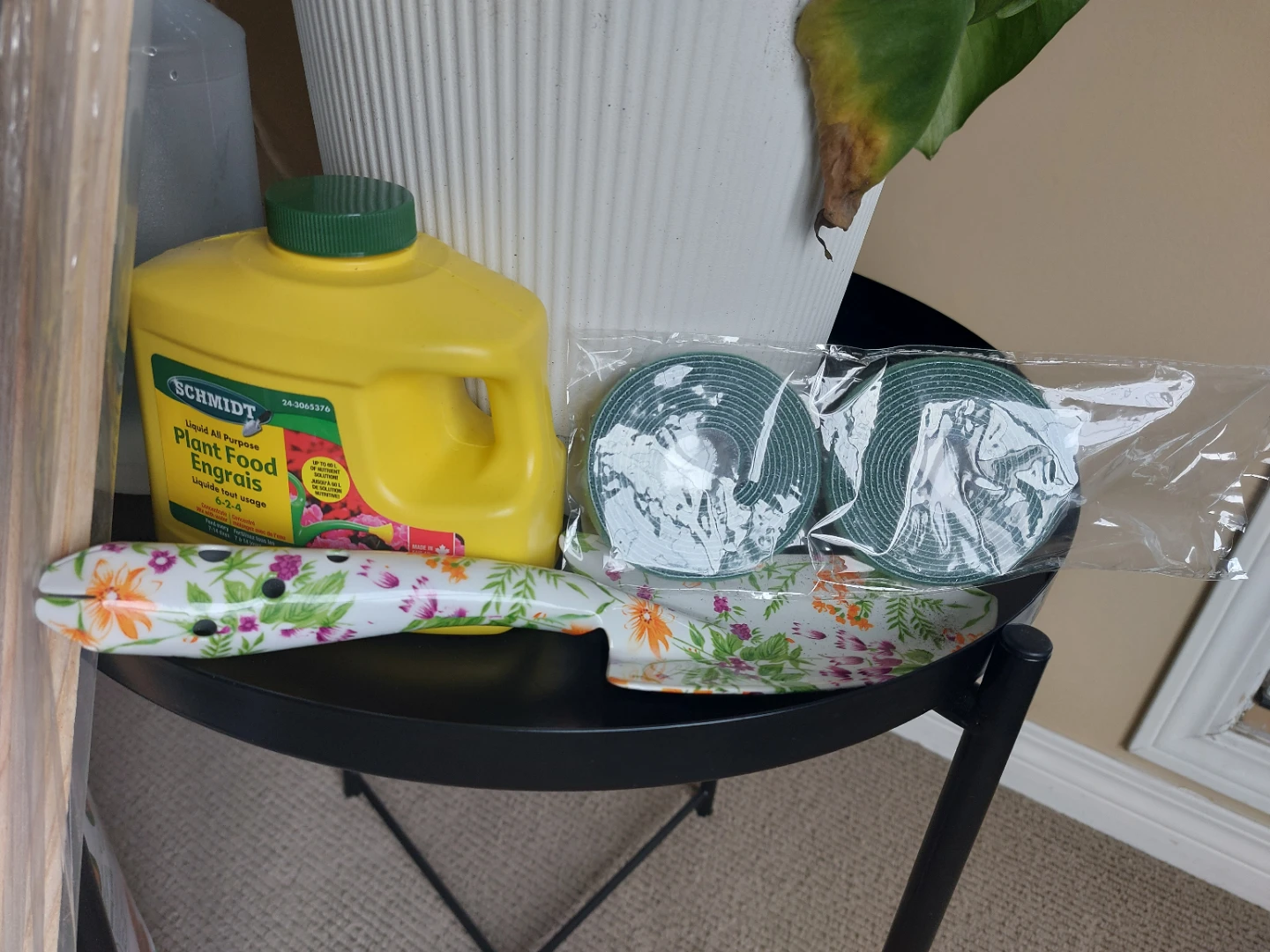 Monstera plant with accessories bundle - photo 4