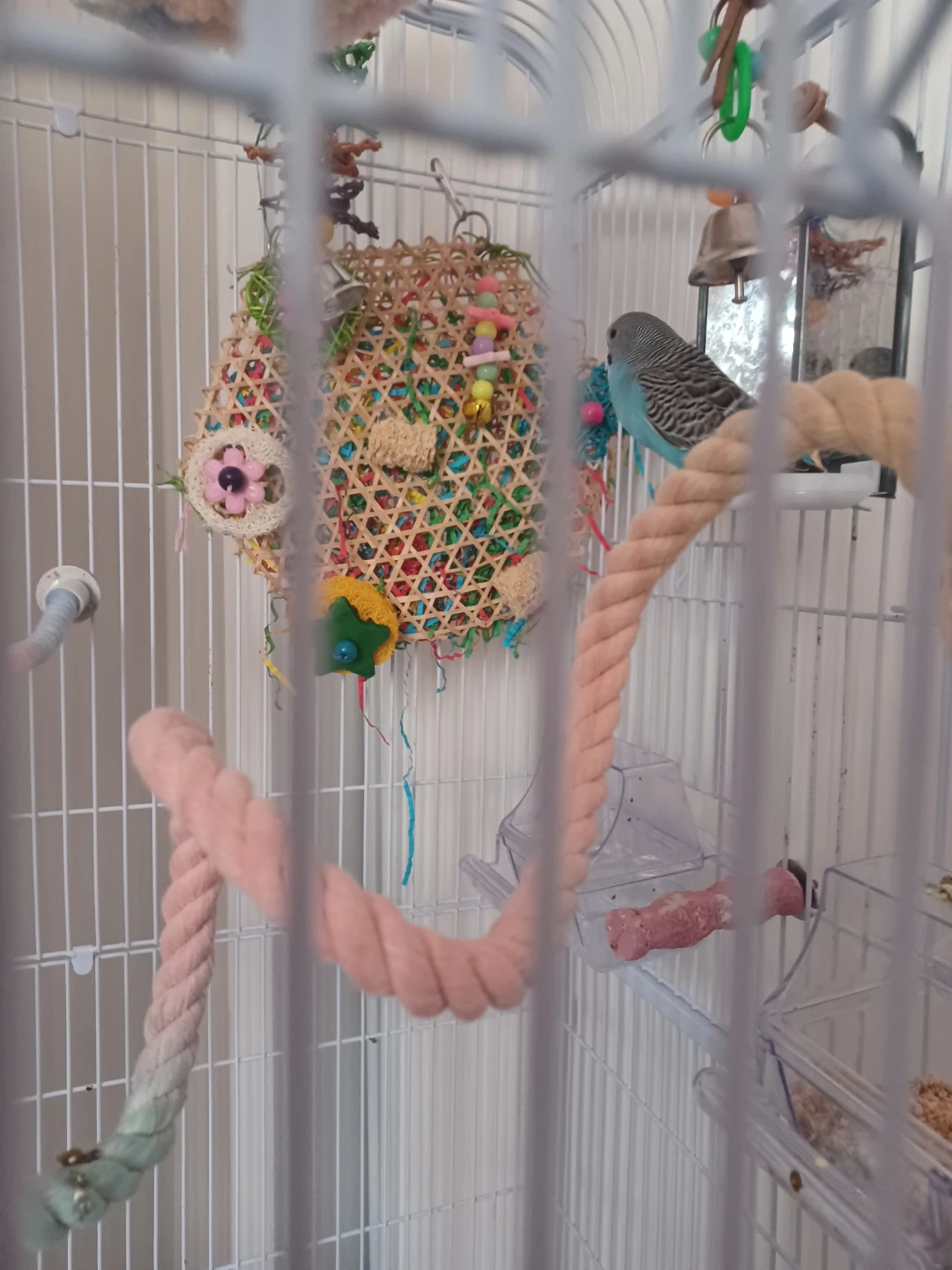 2 budgies , Large White Bird Cage with Assorted Toys - photo 3