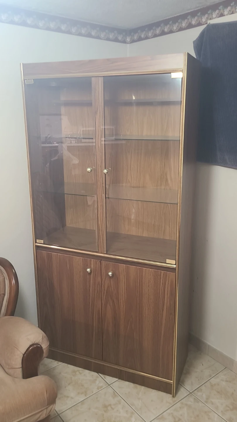 Wooden Display Cabinet with Glass Doors