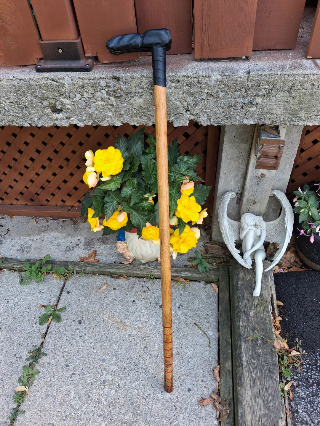Flower bulb dibbler/ garden walking stick
