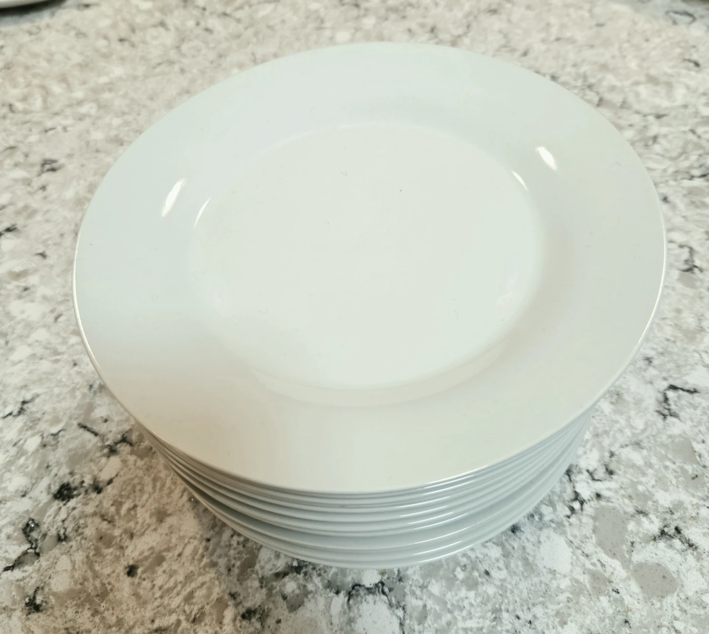 A Dozen White Plates - photo 2