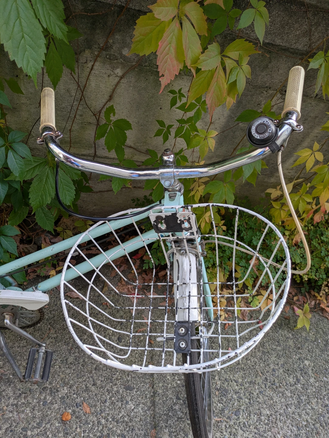 Vintage CCM Cruiser Bicycle with Front Basket - photo 5