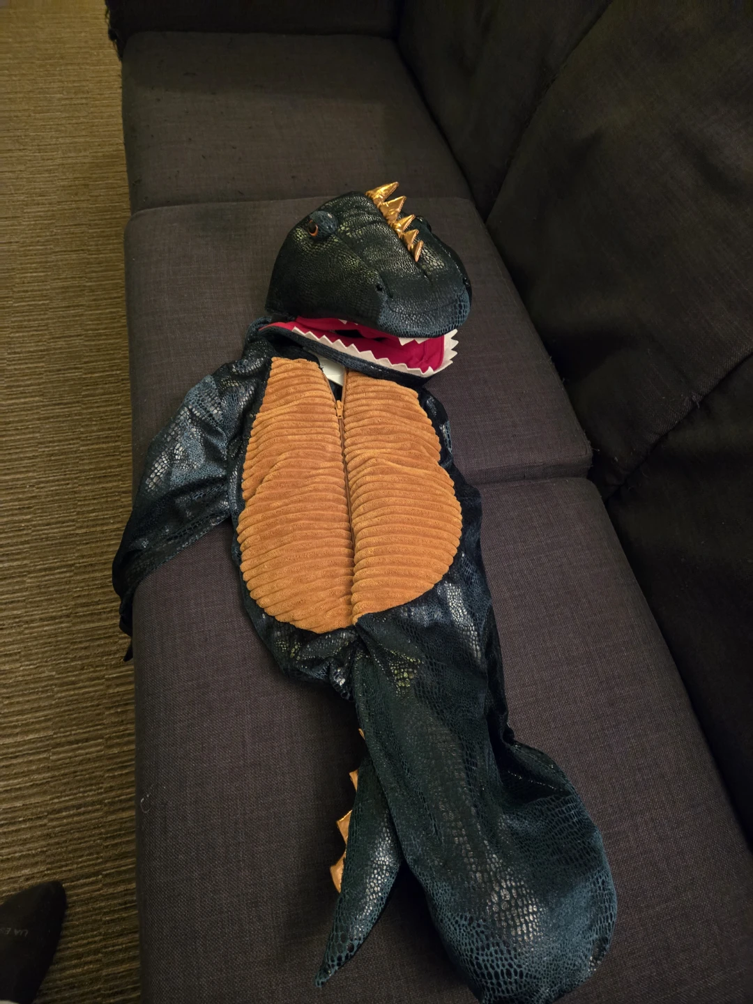 Childrens Dinosaur Costume 5T