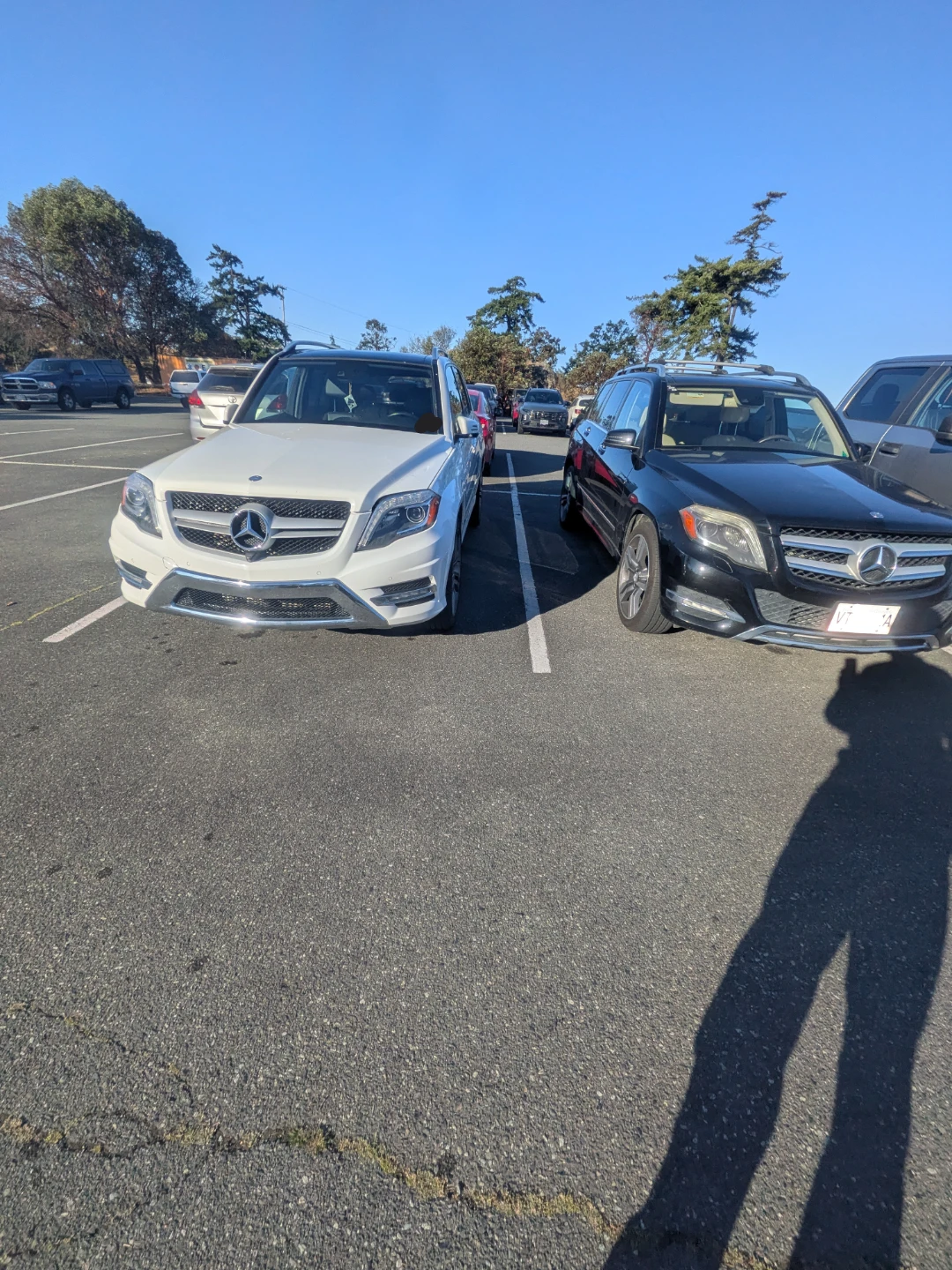 2014 Mercedes-Benz GLK 250 BlueTEC