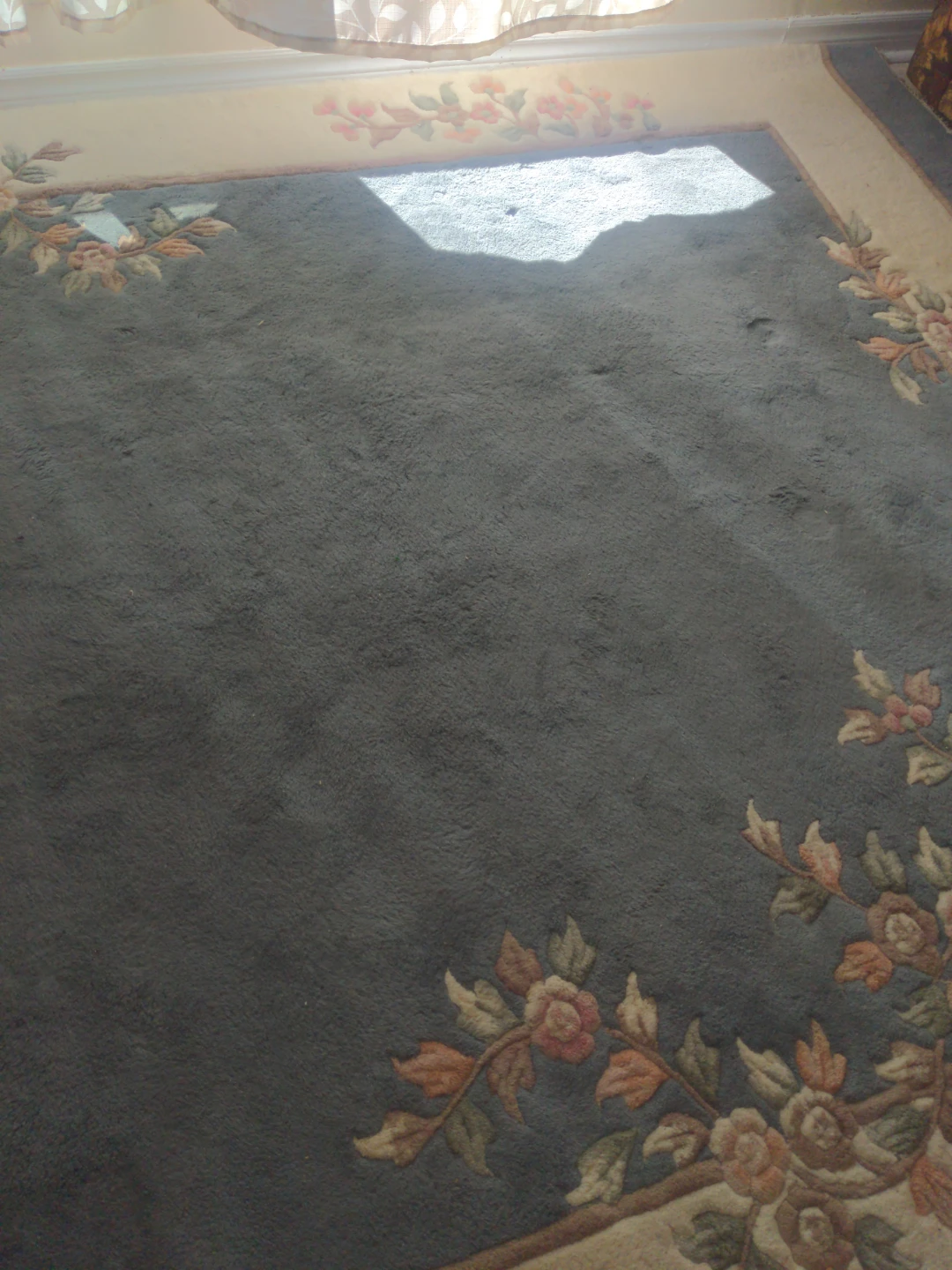 Floral Area Rug - Blue and Beige