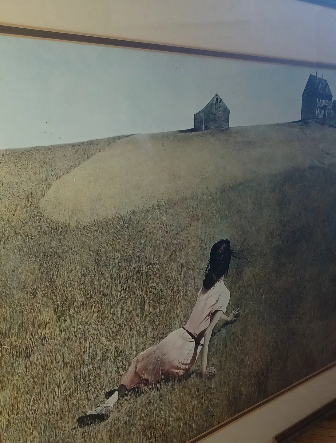 Andrew Wyeth Christina's World Framed Print - photo 3