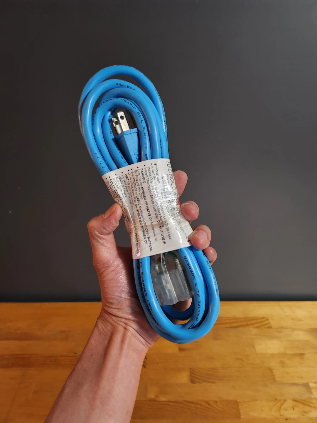 Indoor/Outdoor Extension Cord Blue - photo 3