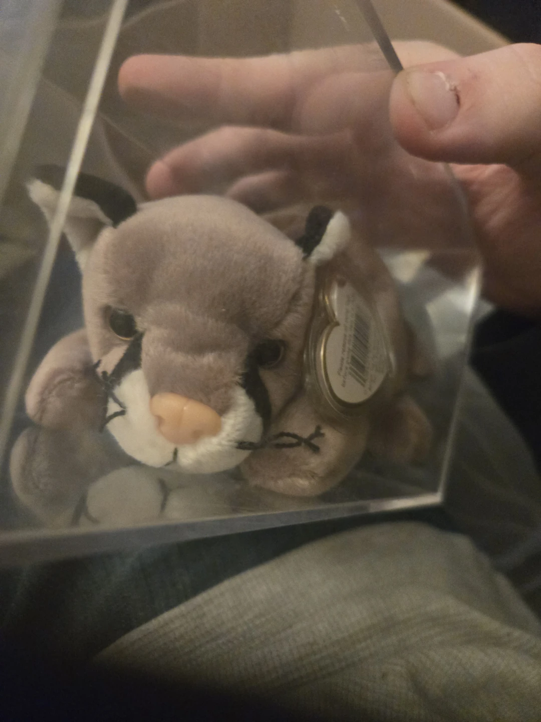 Ty Beanie Baby Tracker the Cougar