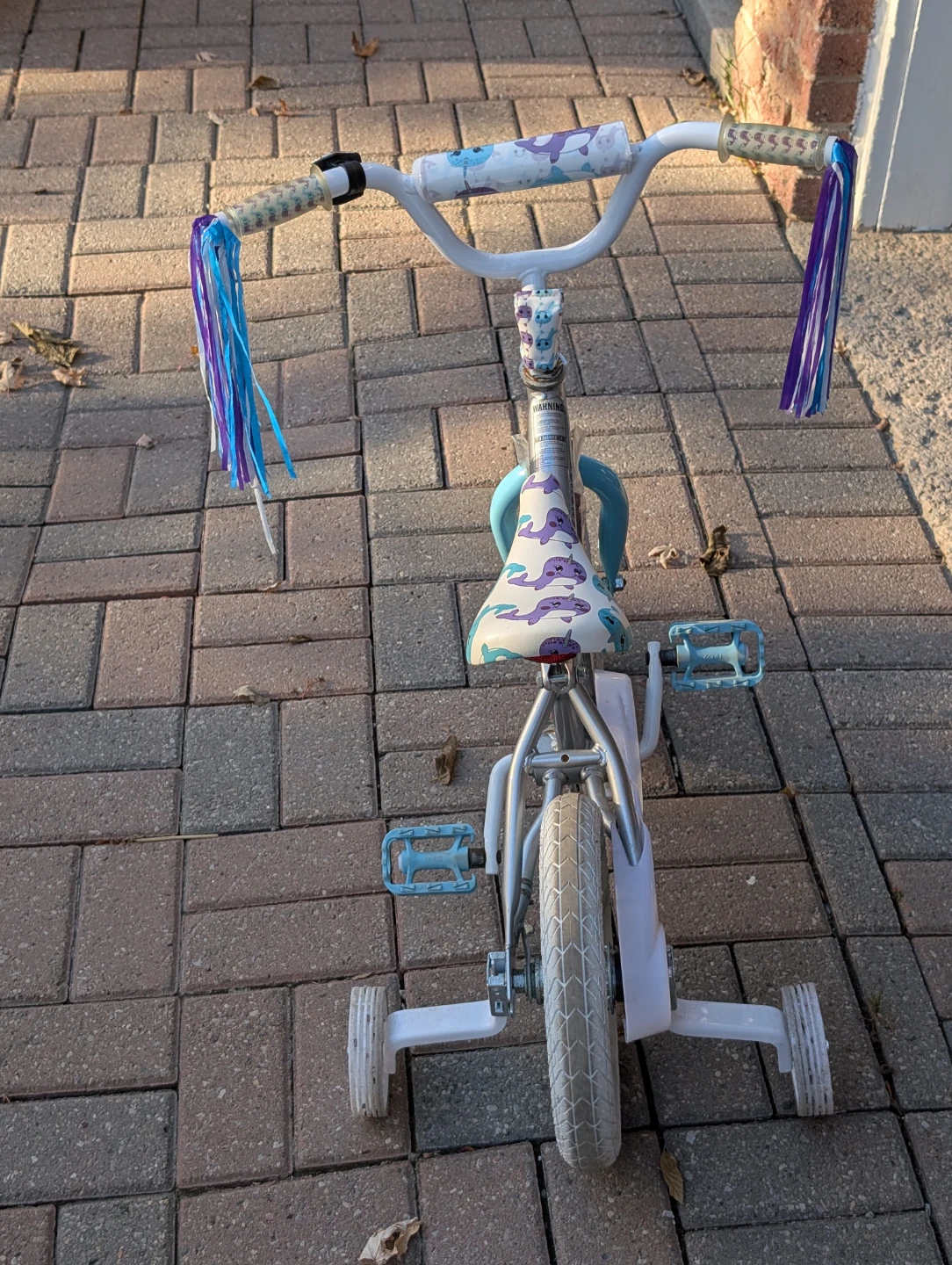 Nakamura Adventure Kids Bike with Training Wheels - photo 3