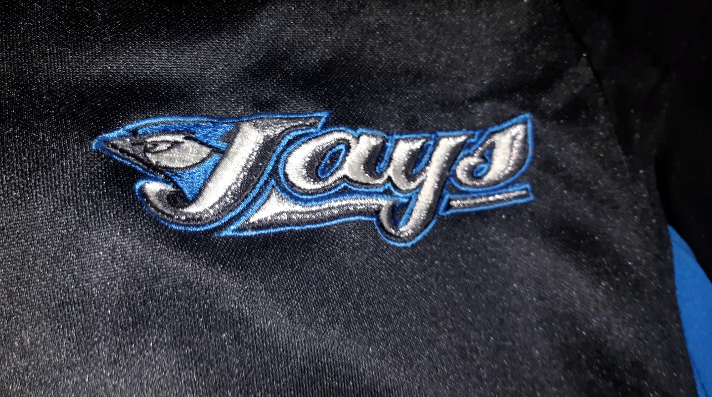 Nike (Vernon Wells) Toronto Blue Jays Jersey - photo 3