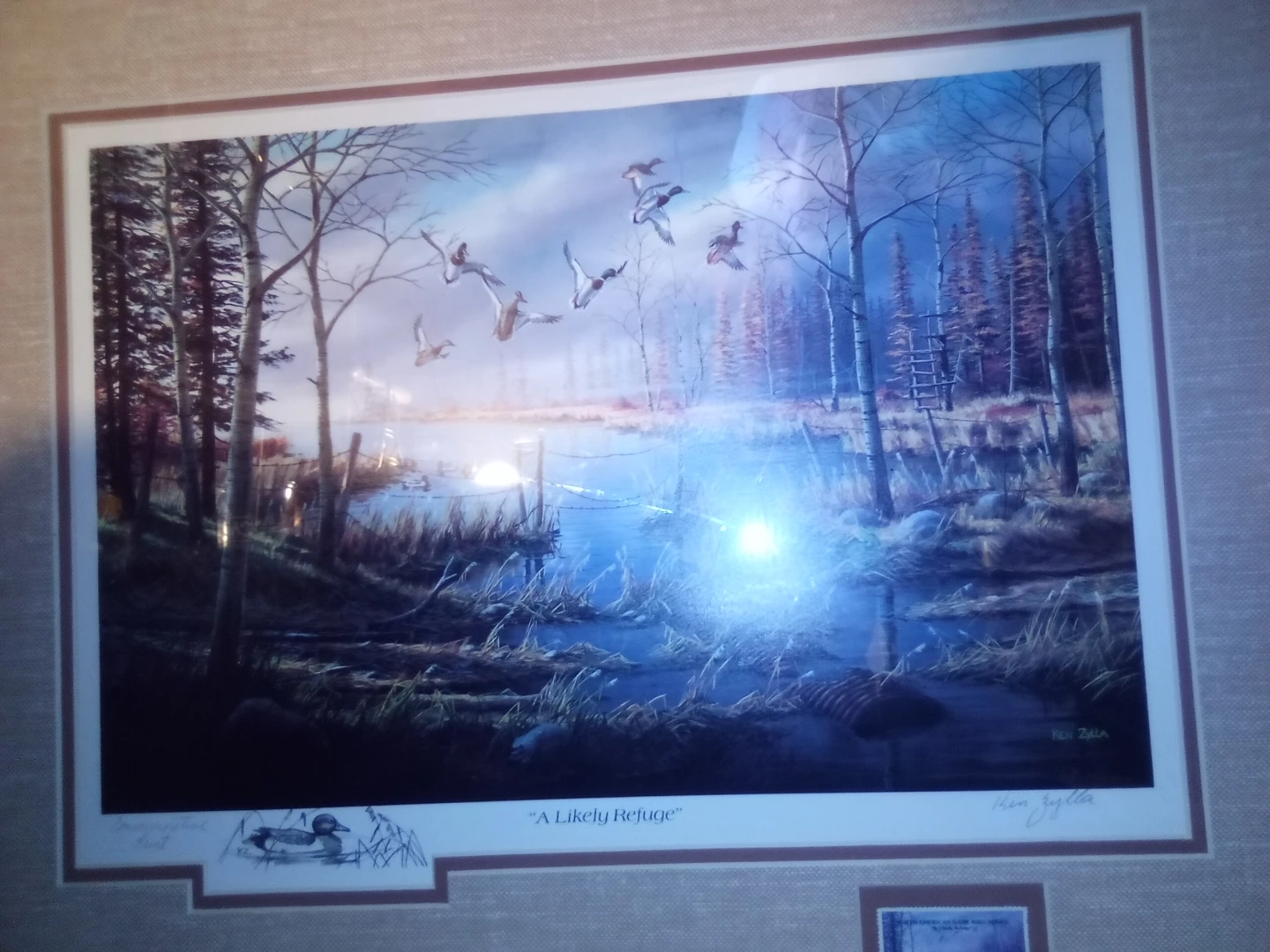 Ken Zylla 'A Likely Refuge' Framed Print