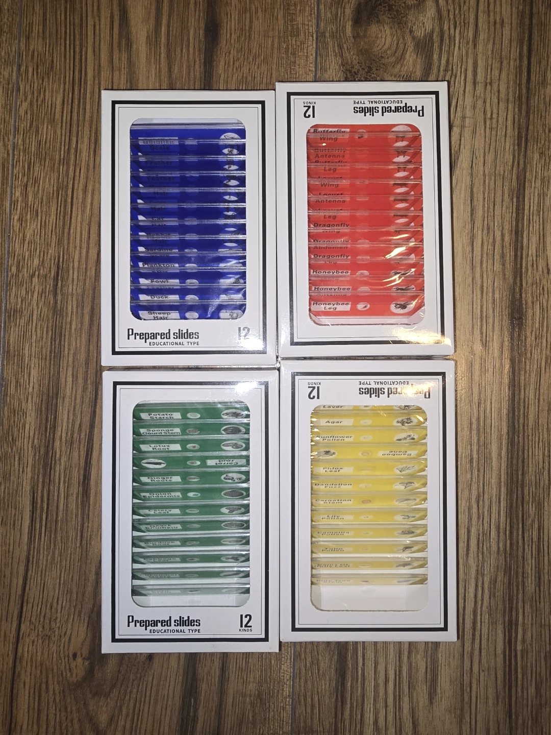 Set of 48 Educational Prepared Microscope Slides