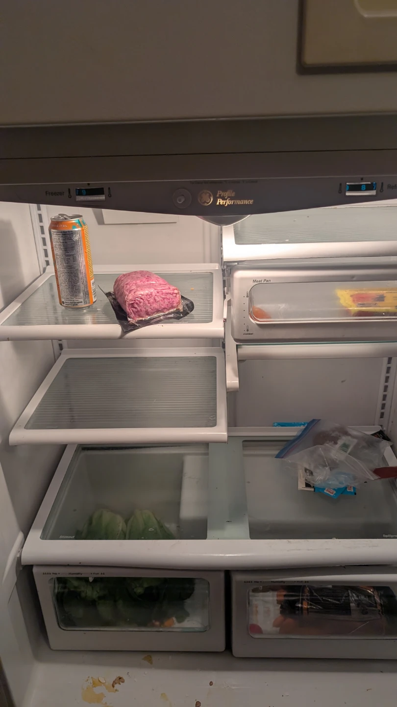 GE Profile Performance Refrigerator