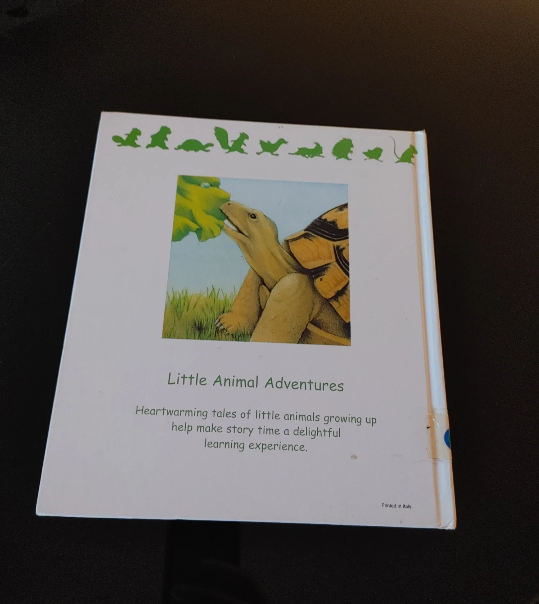 A Home for Little Turtle - Little Animal Adventures - photo 2
