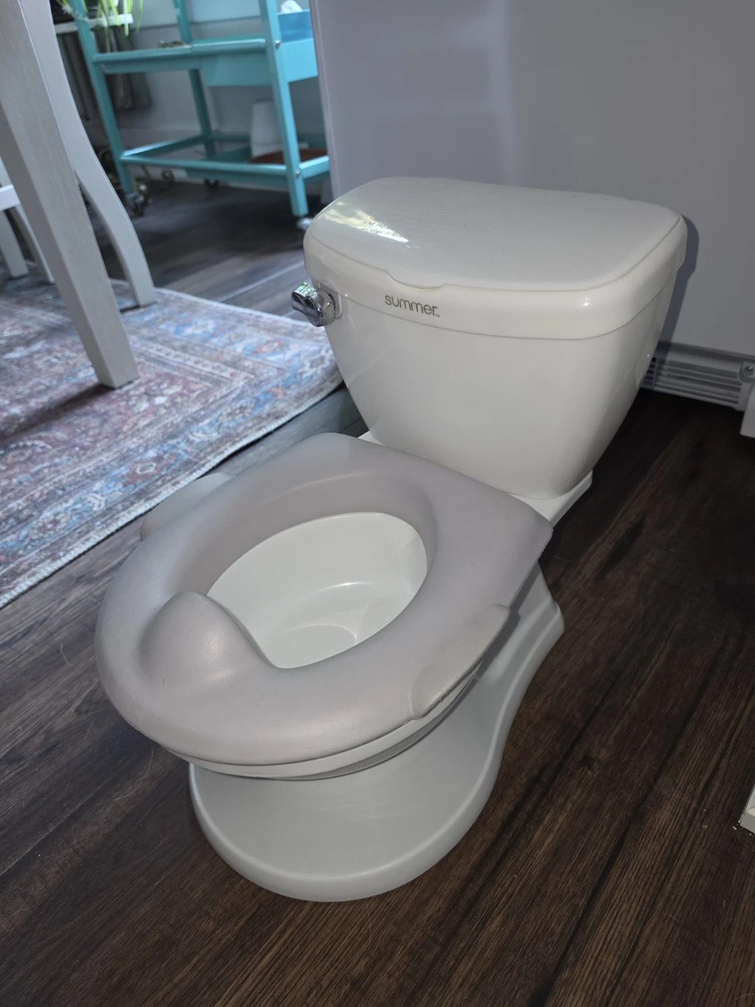 Kids Potty that makes flushing sound.