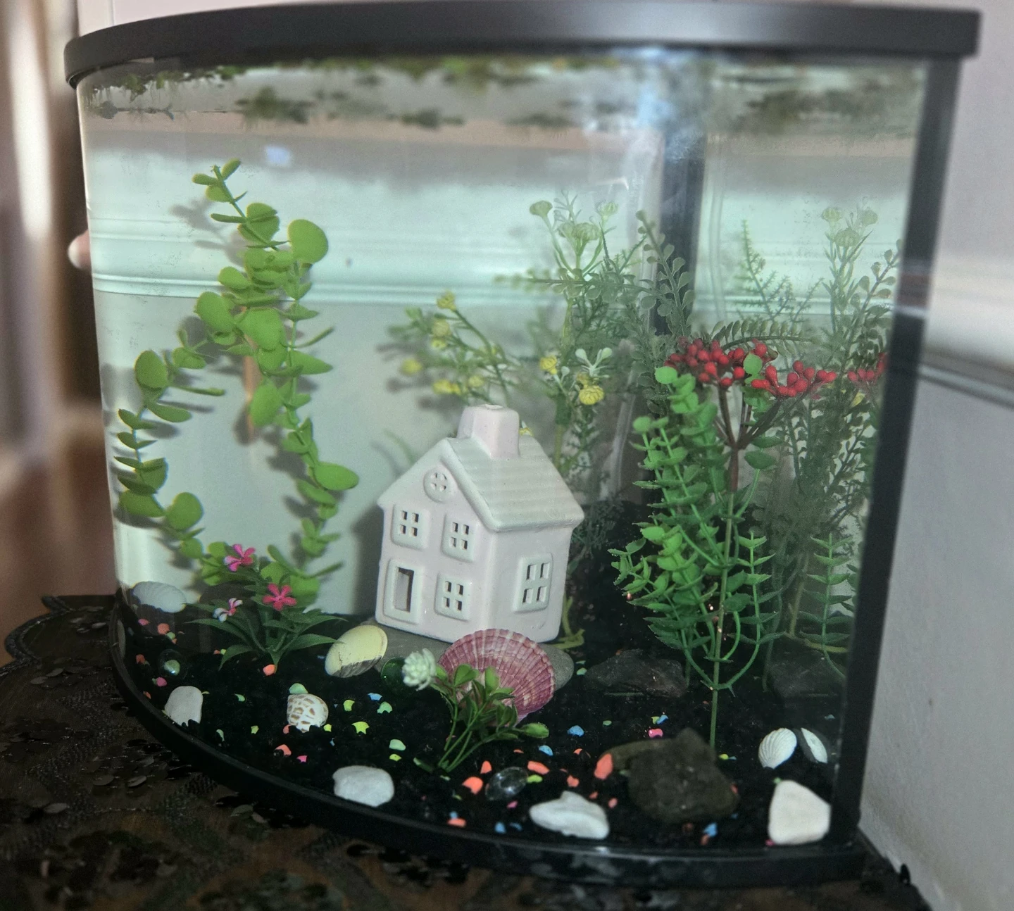 Aquarium for Beginners COMPLETE SETUP - photo 3