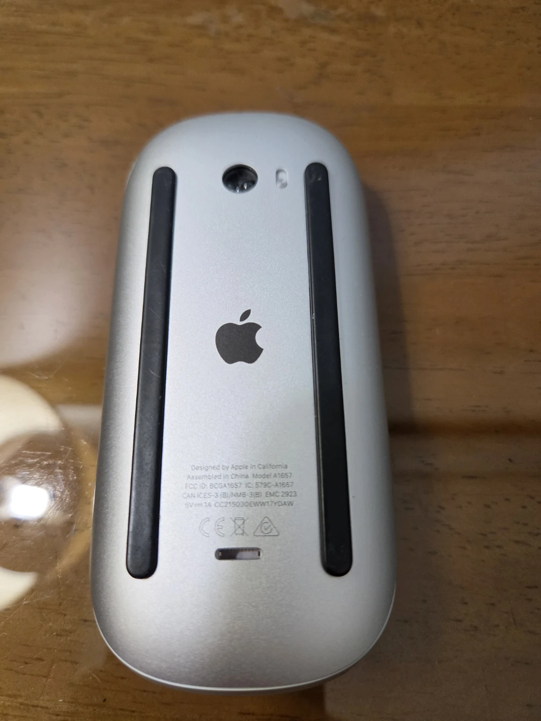 Apple Magic Mouse 2 with Charger - photo 4