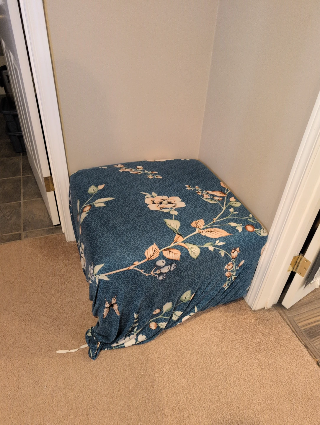 Free ottoman & Slip cover