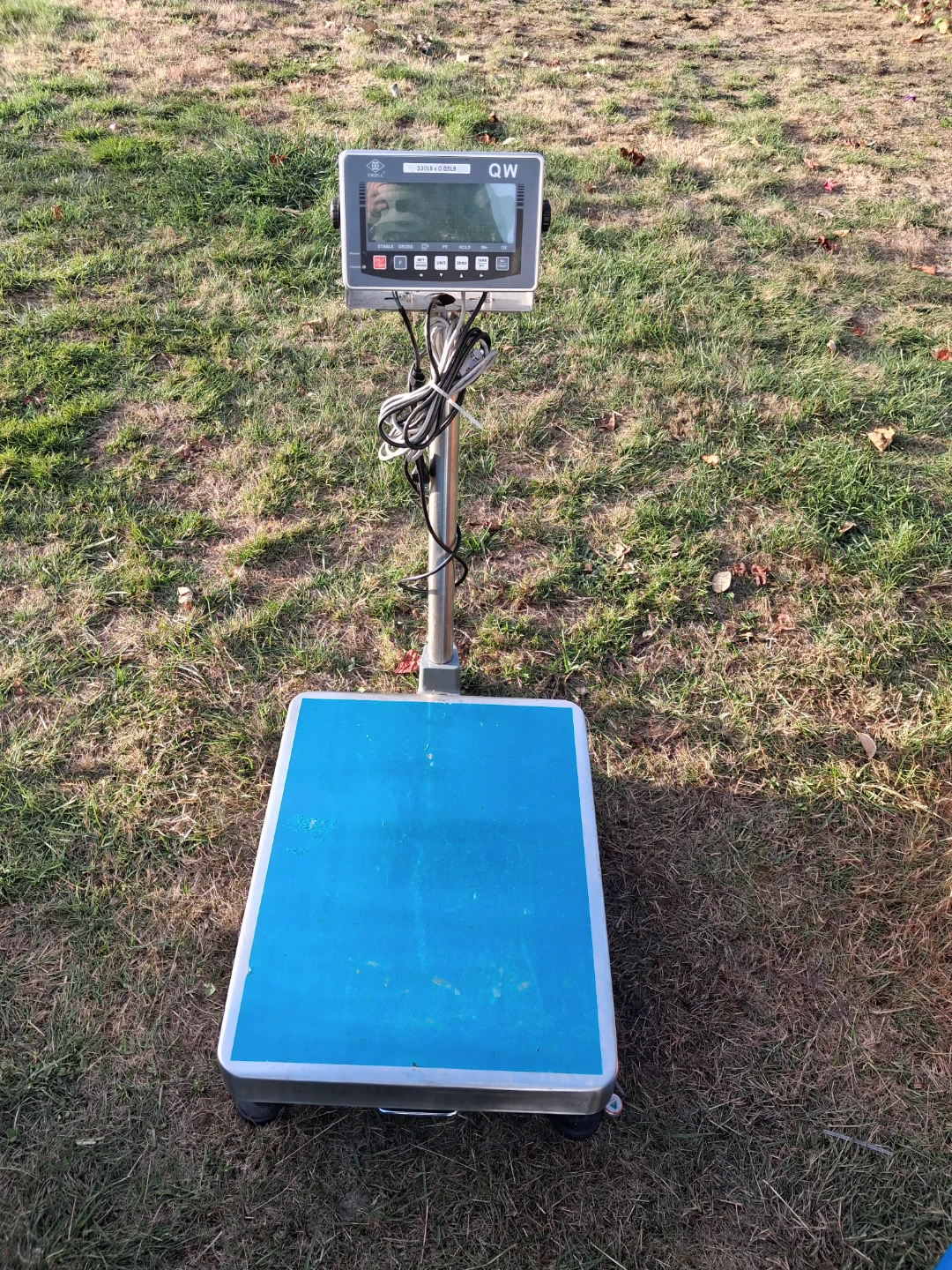 Excell QW Digital Platform Scale - photo 2