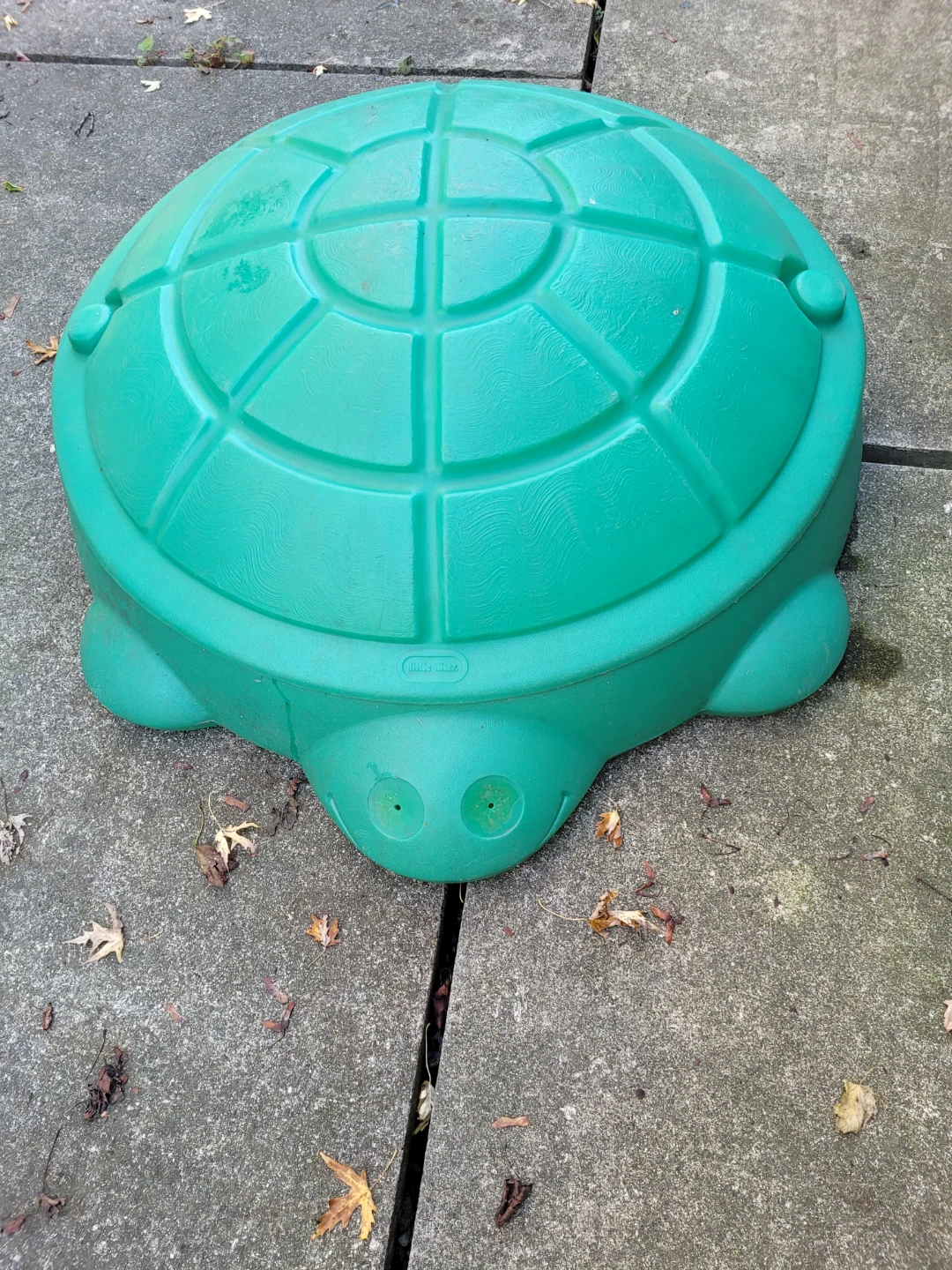Turtle Sandbox