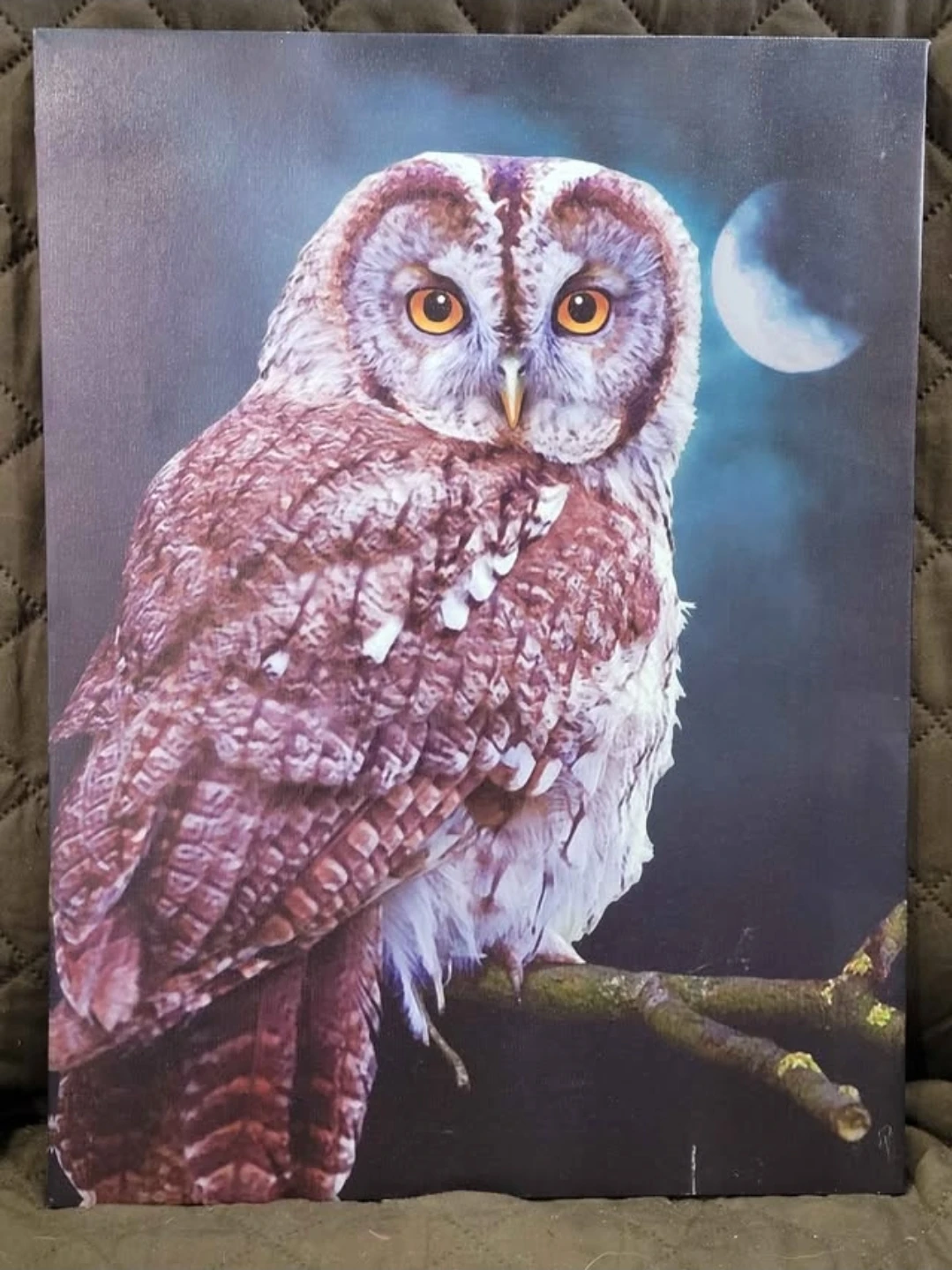 2 Owl Canvas Pictures ($10 for both) - photo 2