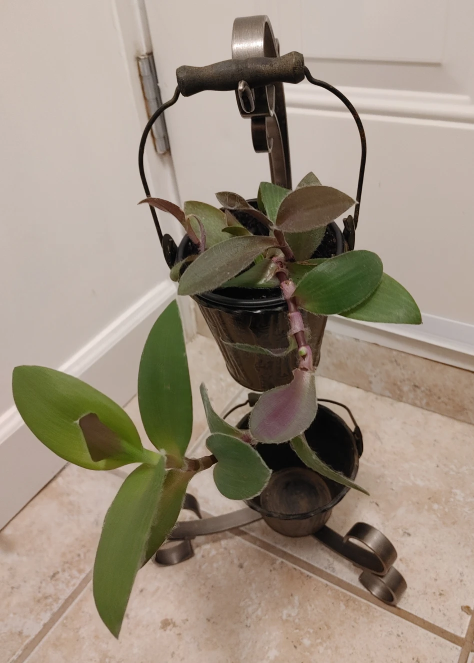 Double Hanging Plant Stand - photo 3