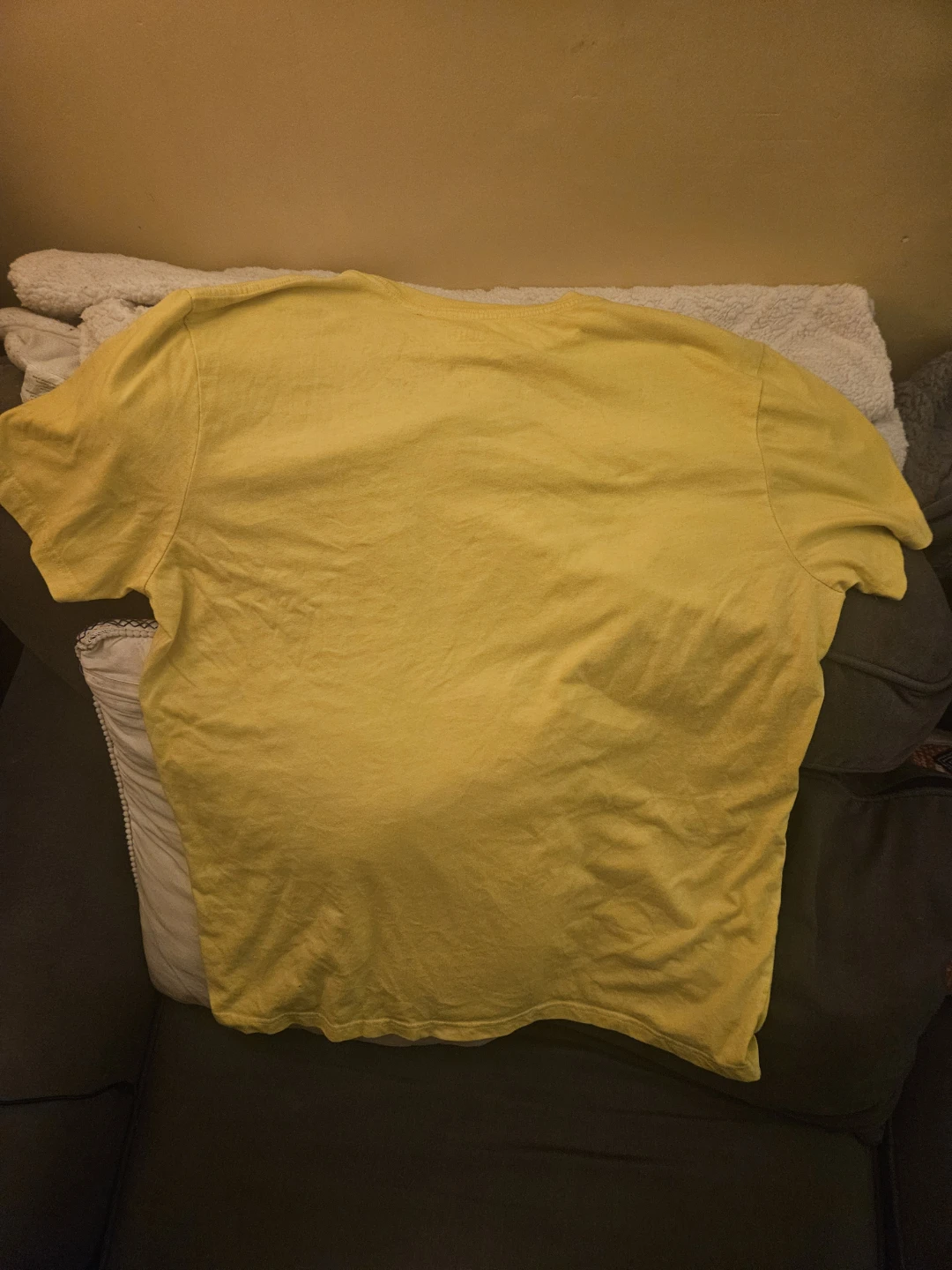 Sesame Street Big Bird Yellow T-Shirt - photo 4
