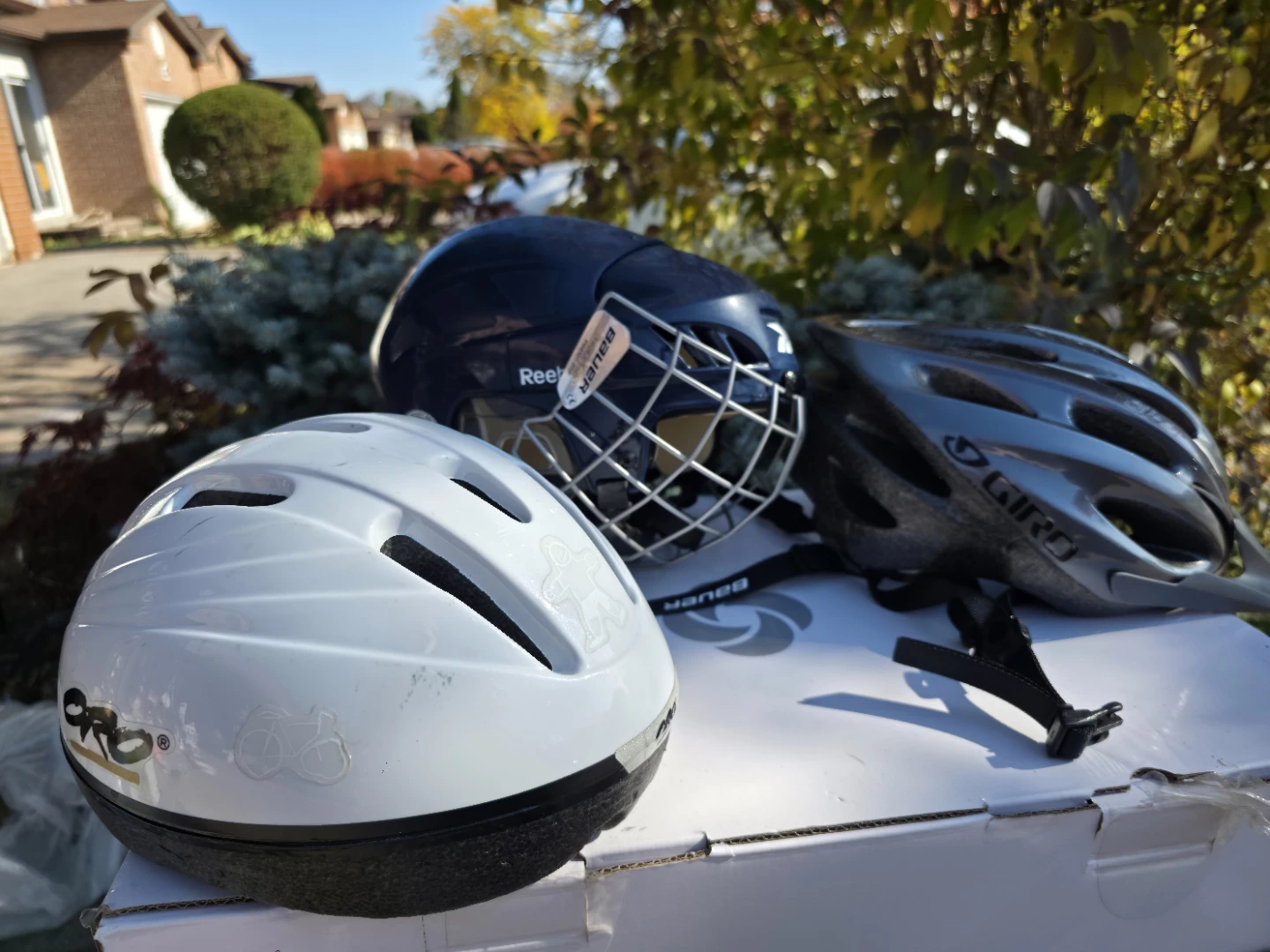 Assorted Helmets: Reebok, Giro, and Oro