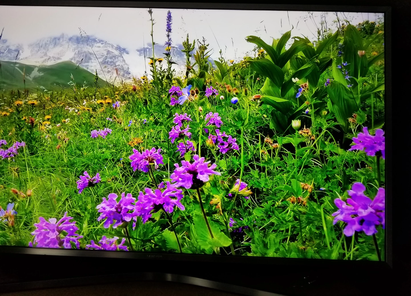 SAMSUNG 40" SMART TV - photo 2